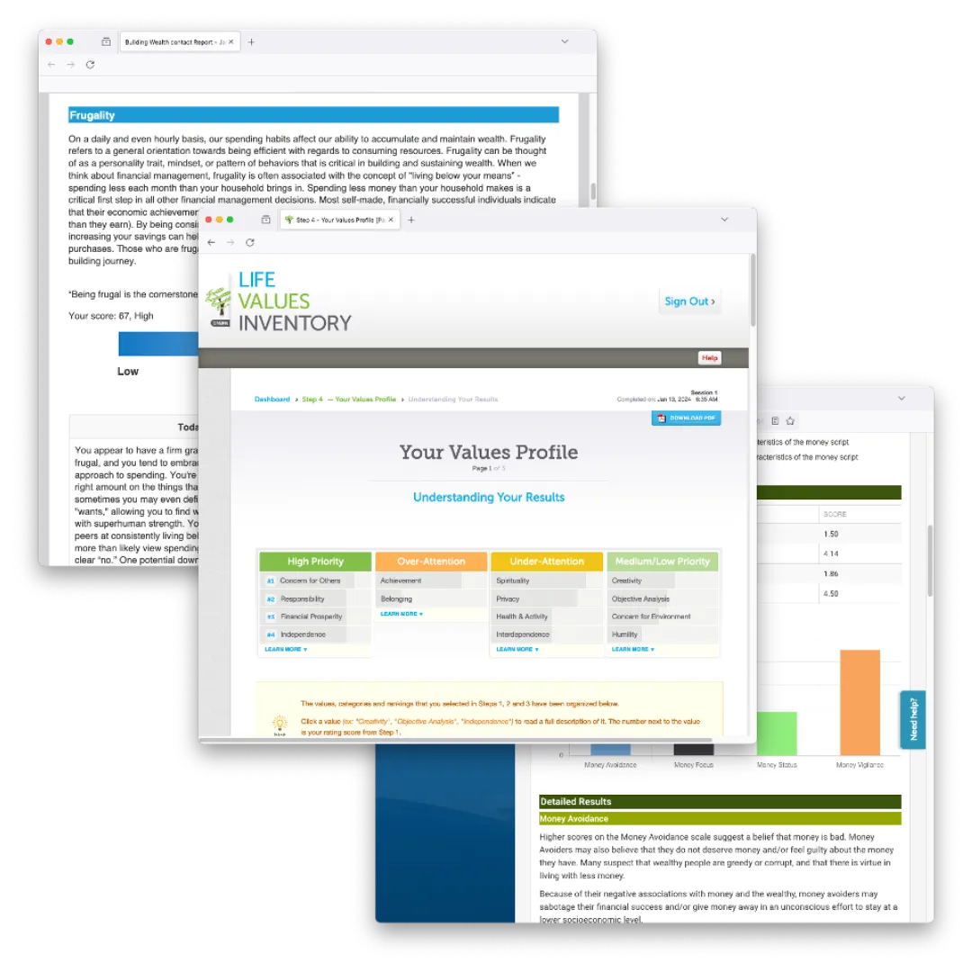 Digital interface of a life values inventory for financial planning